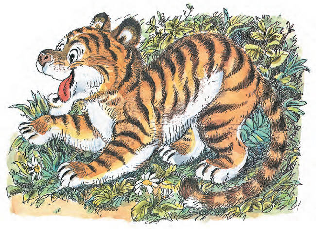 ������ ��� ������ ������